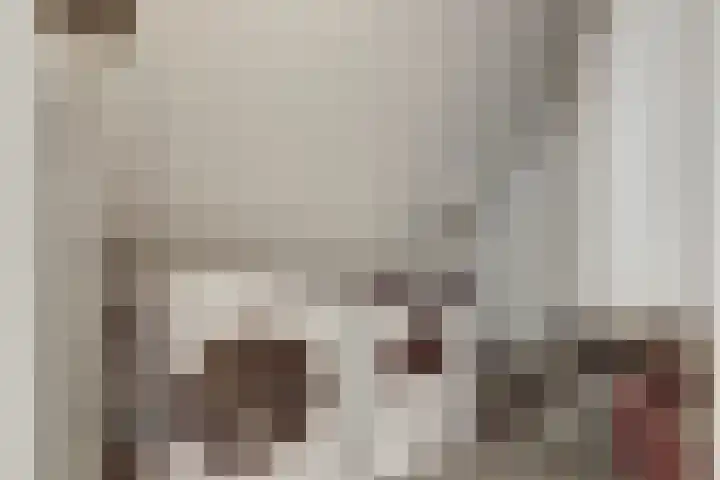 Reigerlaan 23 Lekkerkerk thumbnail 27