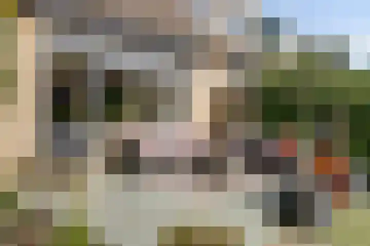 Reigerlaan 23 Lekkerkerk thumbnail 31