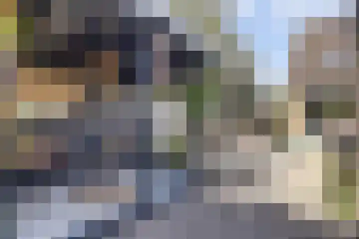 Reigerlaan 23 Lekkerkerk thumbnail 33