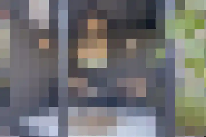 Reigerlaan 23 Lekkerkerk thumbnail 34