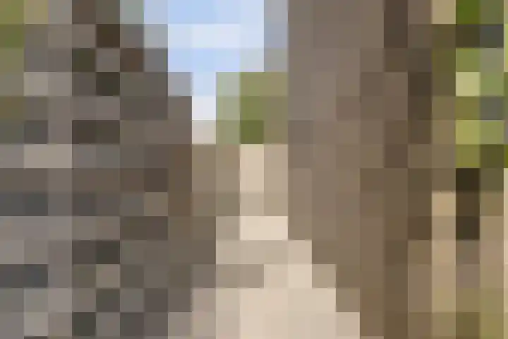 Reigerlaan 23 Lekkerkerk thumbnail 35