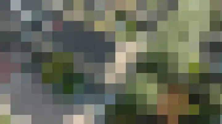 Reigerlaan 23 Lekkerkerk thumbnail 36