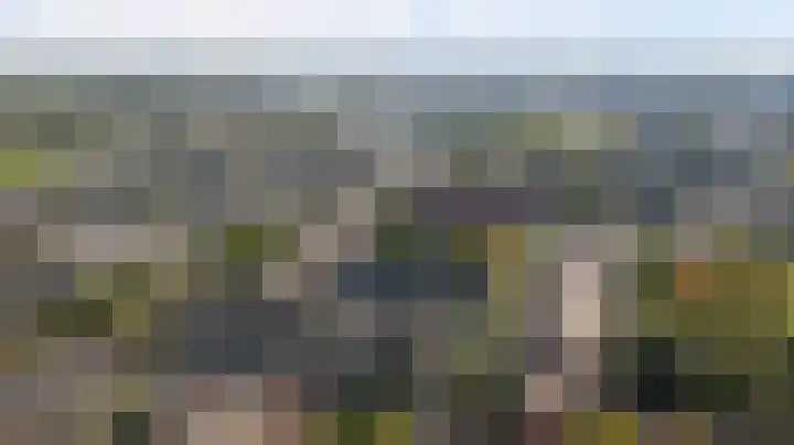Reigerlaan 23 Lekkerkerk thumbnail 37
