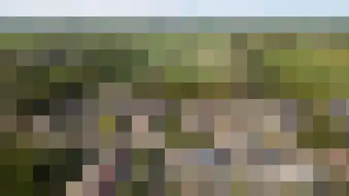 Reigerlaan 23 Lekkerkerk thumbnail 38