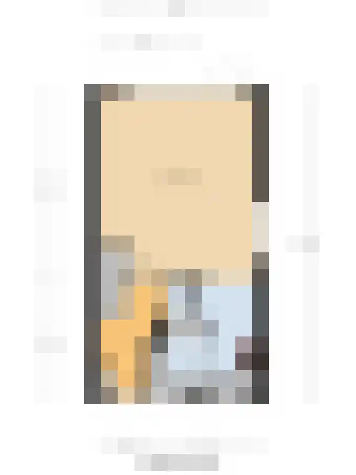Reigerlaan 23 Lekkerkerk thumbnail 40