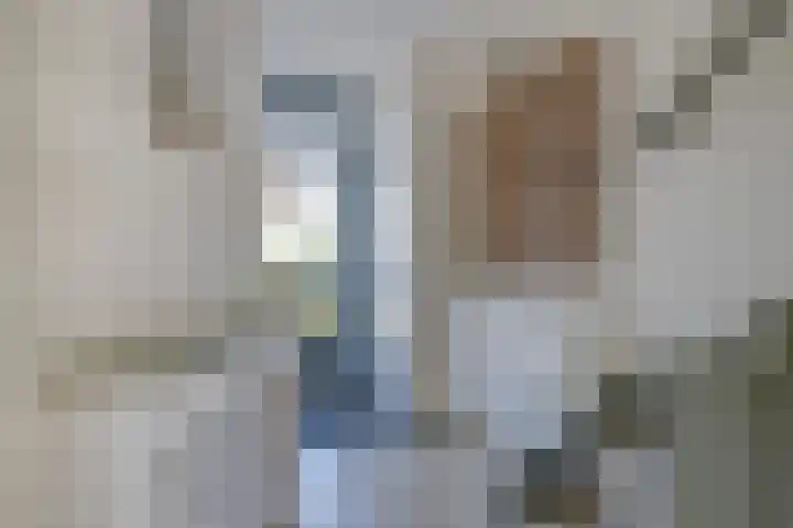 Reigerlaan 23 Lekkerkerk thumbnail 6