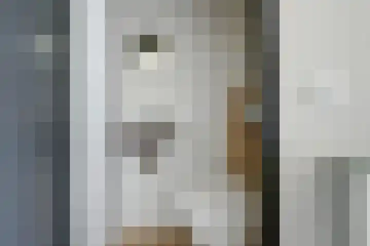 Reigerlaan 23 Lekkerkerk thumbnail 7