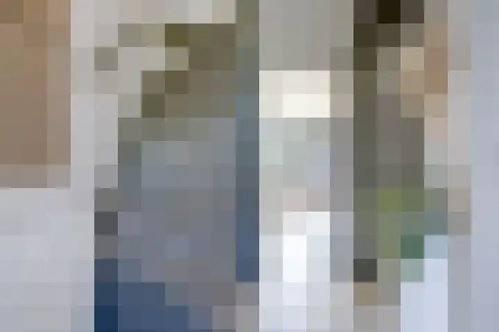 Reigerlaan 23 Lekkerkerk thumbnail 8
