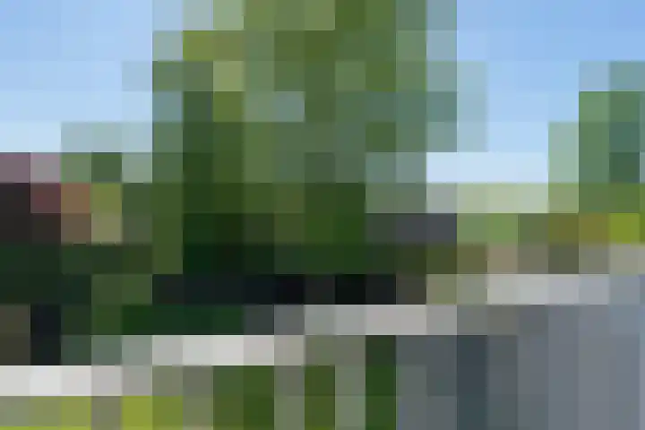 Reigerlaan 23 Ursem thumbnail 35