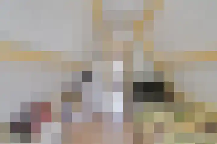 Reigerlaan 23 Ursem thumbnail 37