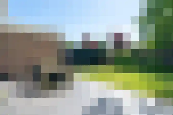 Reigerlaan 23 Ursem thumbnail 43