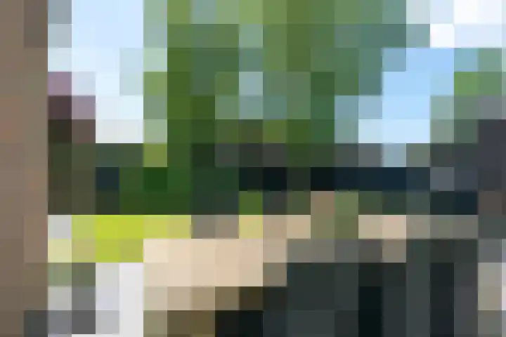 Reigerlaan 23 Ursem thumbnail 44