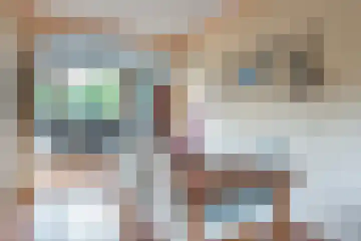 Reigerlaan 24 Boskoop thumbnail 16