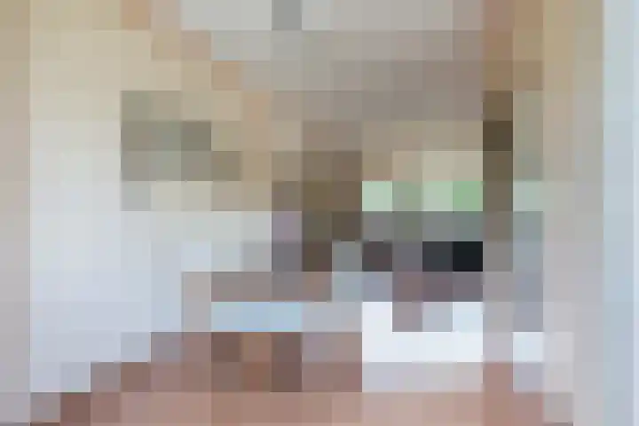 Reigerlaan 24 Boskoop thumbnail 17
