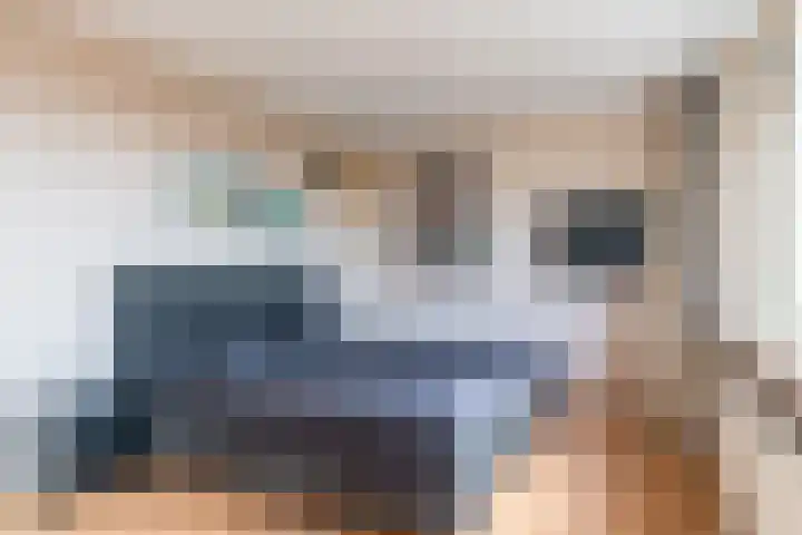 Reigerlaan 24 Boskoop thumbnail 24