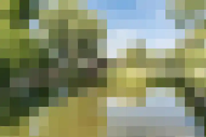 Reigerlaan 24 Boskoop thumbnail 42
