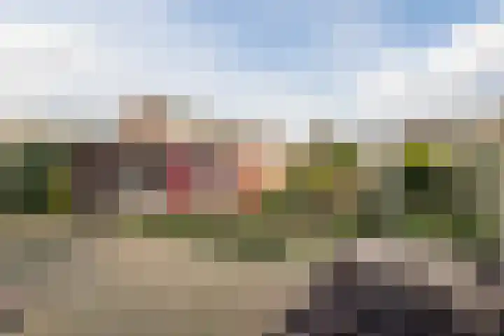 Reigerlaan 27 Nijkerk thumbnail 32
