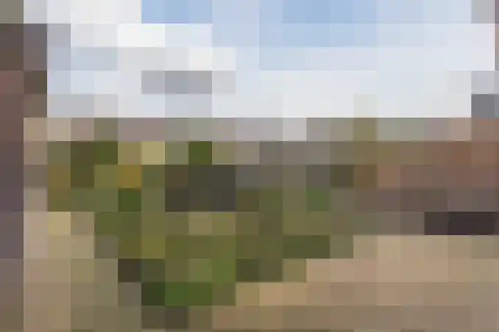 Reigerlaan 27 Nijkerk thumbnail 33