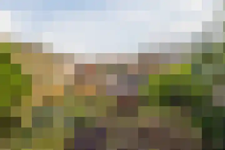 Reigerlaan 27 Nijkerk thumbnail 34