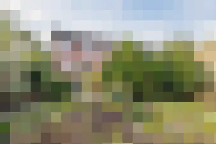Reigerlaan 27 Nijkerk thumbnail 36