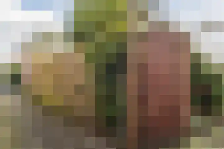 Reigerlaan 27 Nijkerk thumbnail 37