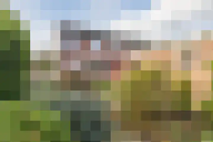 Reigerlaan 27 Nijkerk thumbnail 4