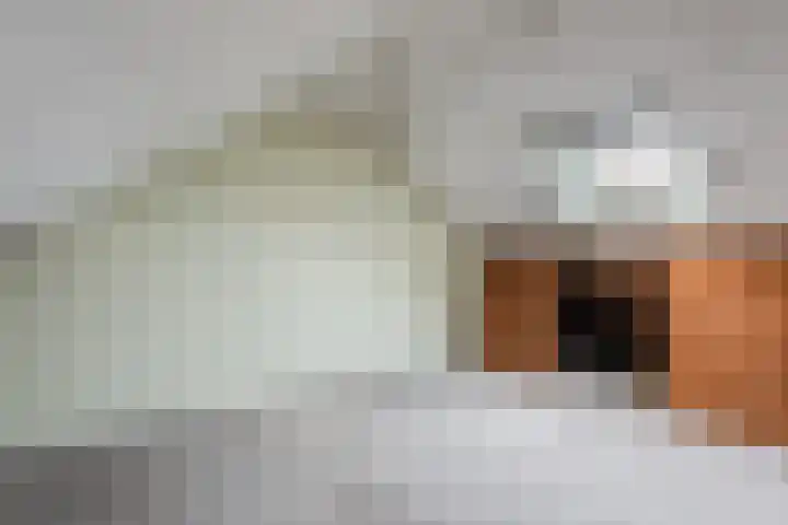 Reigerlaan 29 Nijkerk thumbnail 24