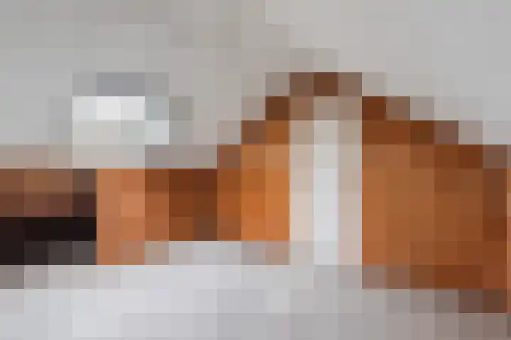 Reigerlaan 29 Nijkerk thumbnail 25