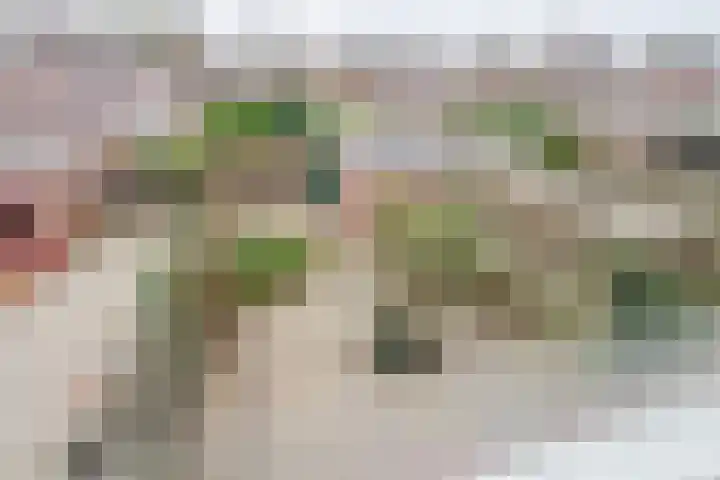 Reigerlaan 29 Nijkerk thumbnail 30