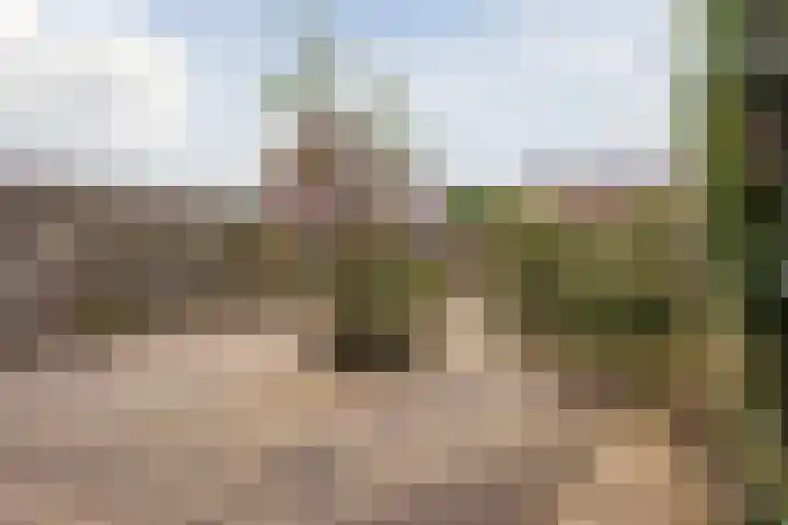 Reigerlaan 29 Nijkerk thumbnail 31