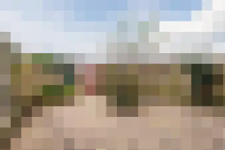 Reigerlaan 29 Nijkerk thumbnail 32