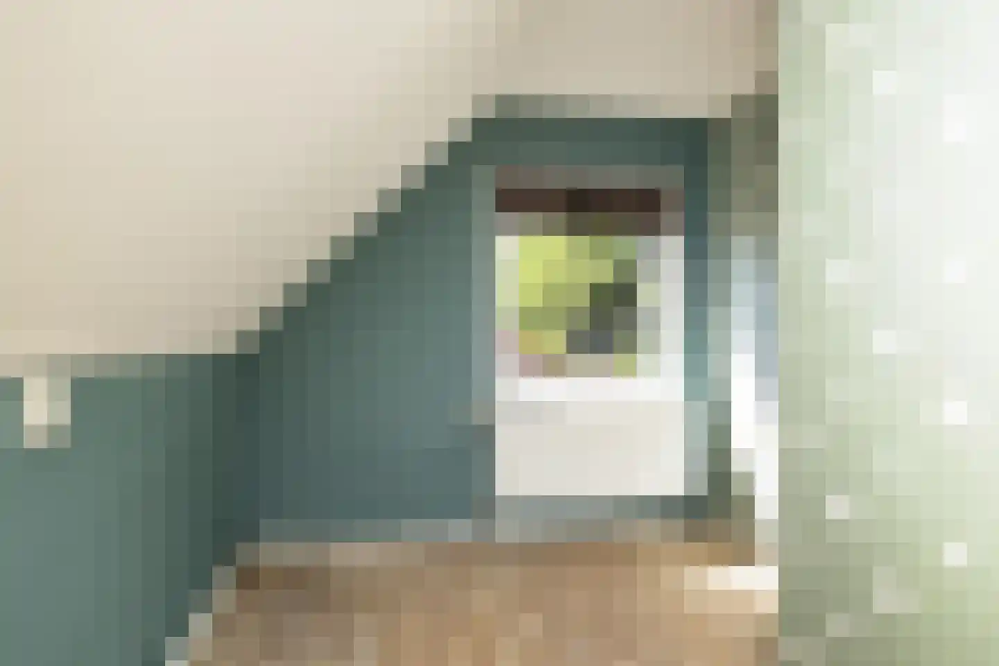 Reigerlaan 3 Beilen thumbnail 16