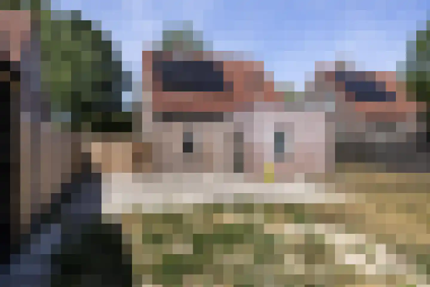 Reigerlaan 3 Beilen thumbnail 4