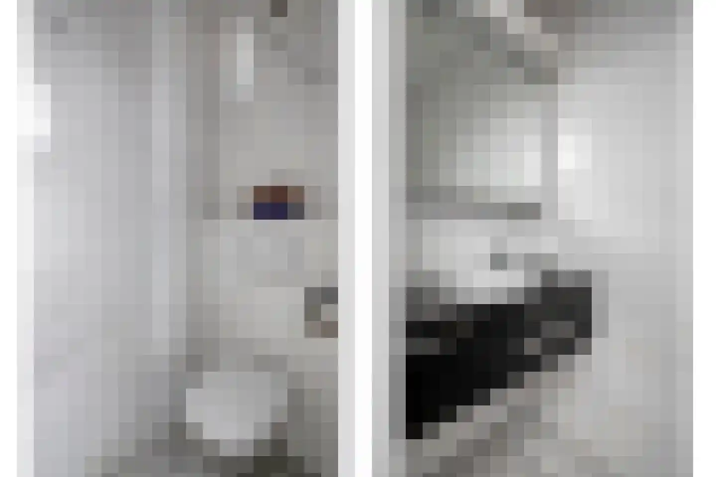Reigerlaan 31 Kamperland thumbnail 25