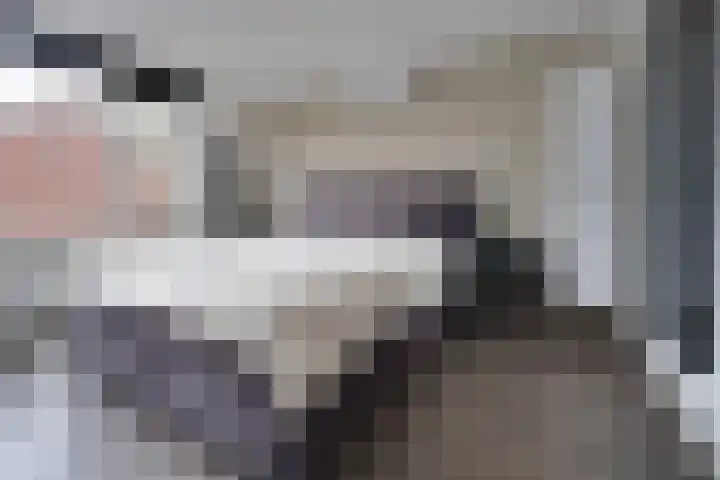 Reigerlaan 35 Beilen thumbnail 13