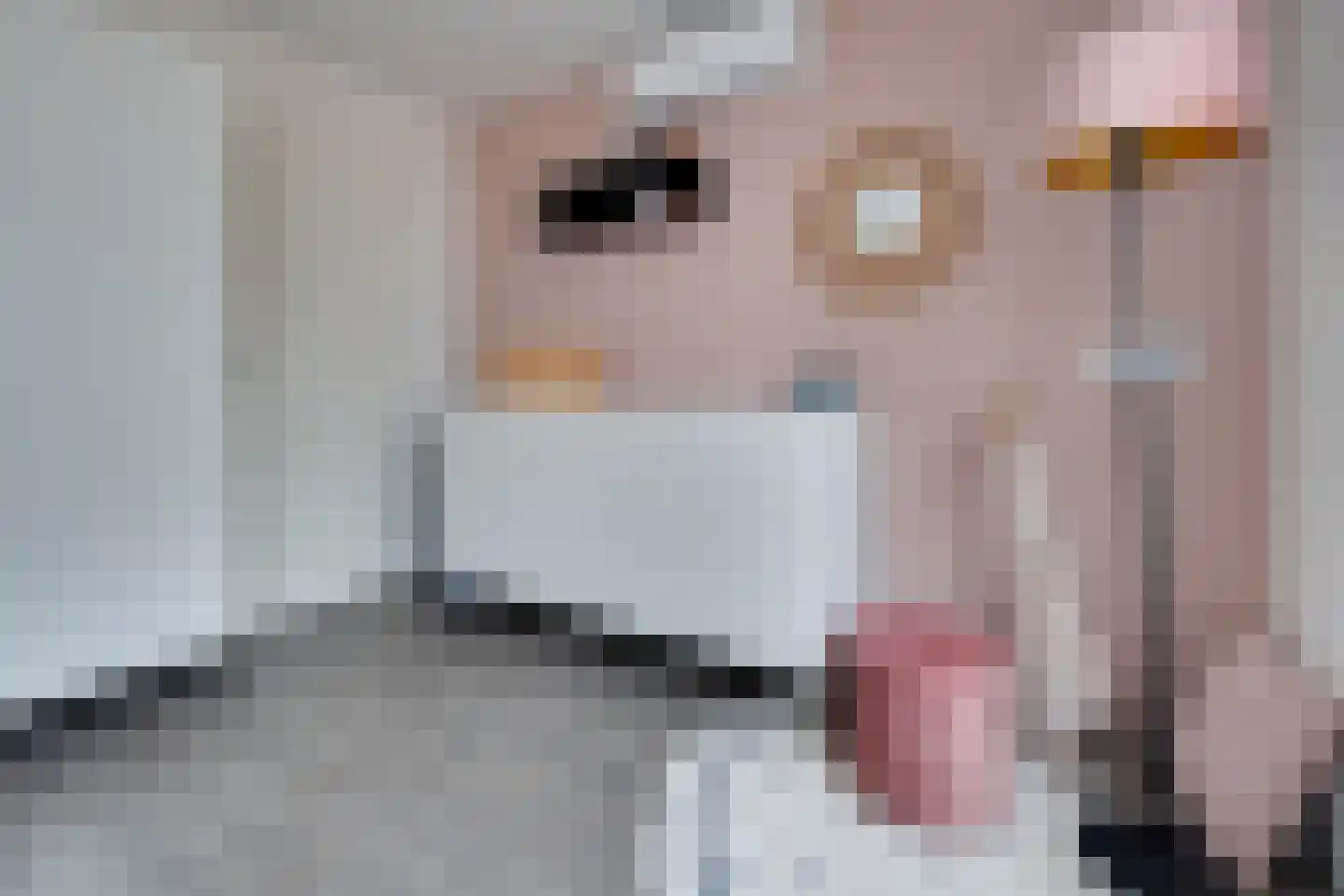 Reigerlaan 35 Beilen thumbnail 15