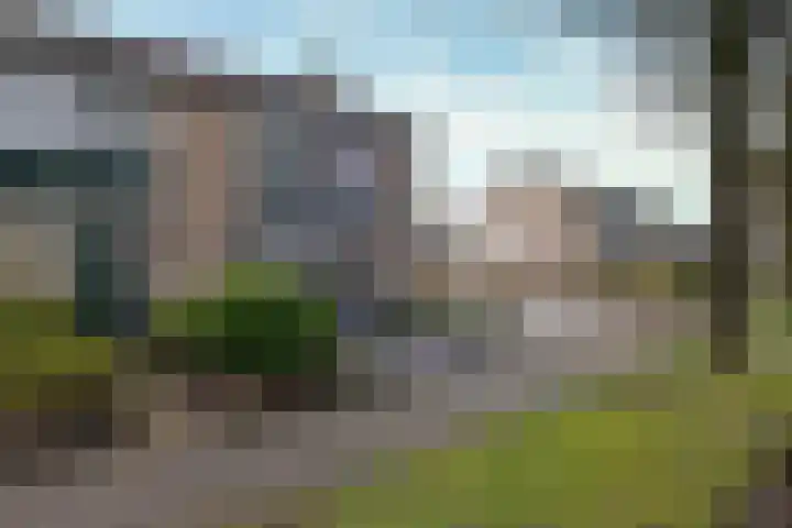 Reigerlaan 35 Beilen foto 2