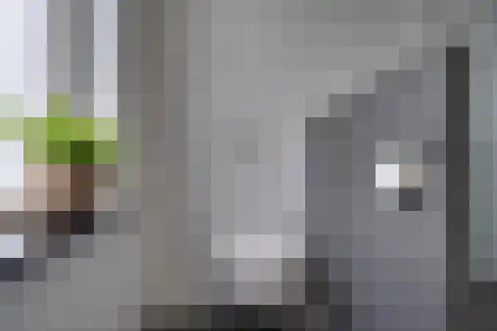 Reigerlaan 35 Beilen thumbnail 20