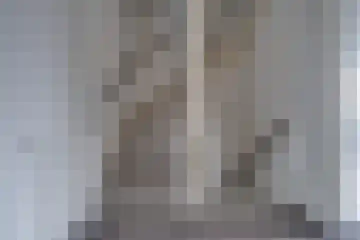 Reigerlaan 35 Beilen thumbnail 22
