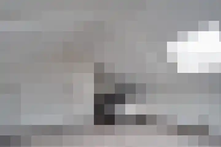 Reigerlaan 35 Beilen thumbnail 24
