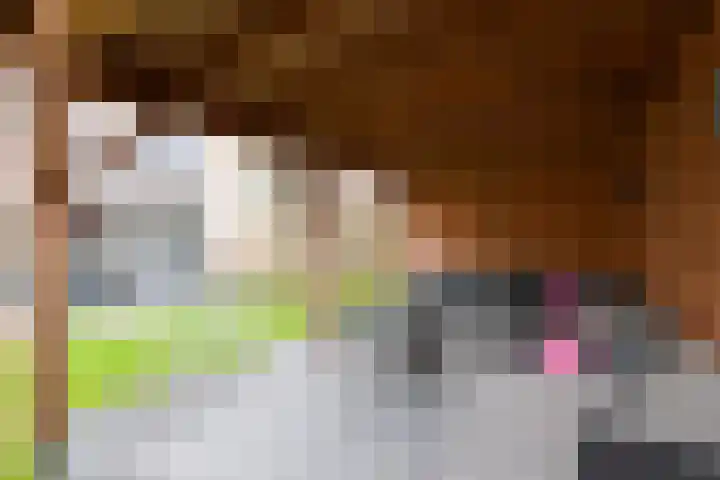 Reigerlaan 35 Beilen thumbnail 26
