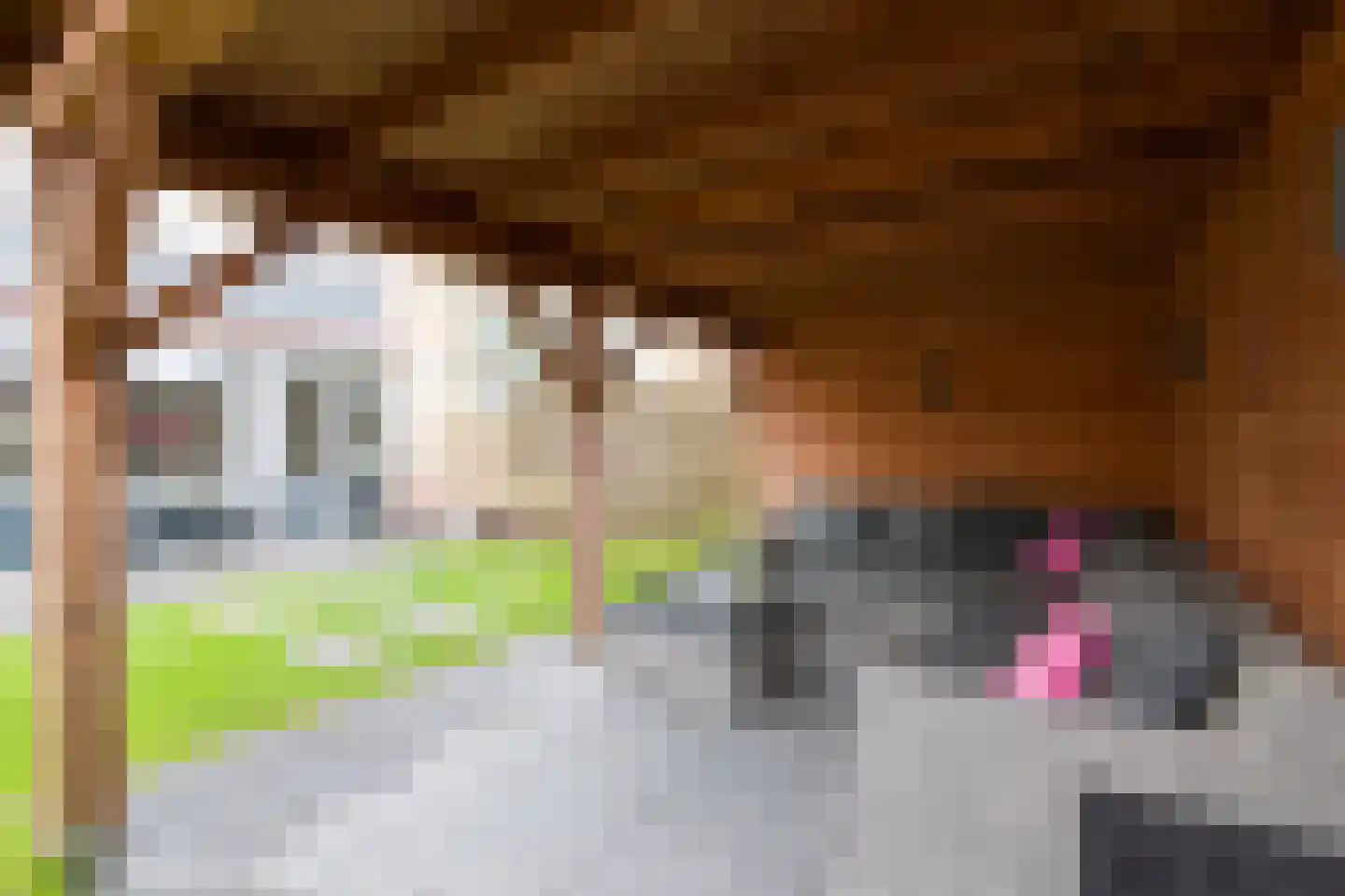 Reigerlaan 35 Beilen thumbnail 26