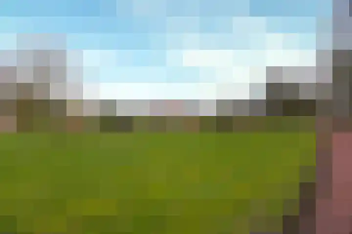 Reigerlaan 35 Beilen thumbnail 29