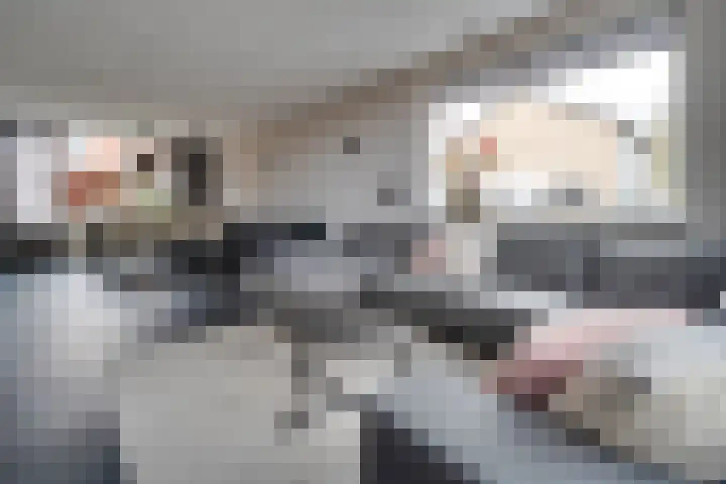 Reigerlaan 35 Beilen thumbnail 5