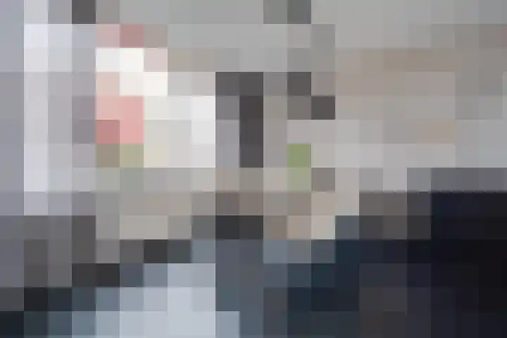 Reigerlaan 35 Beilen thumbnail 7