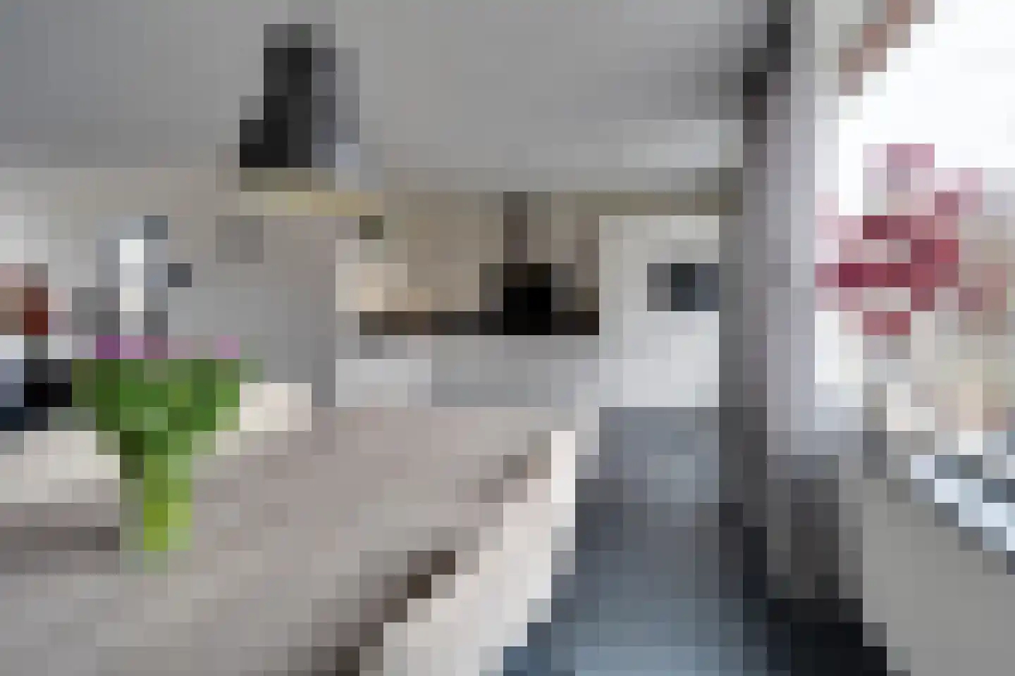 Reigerlaan 35 Beilen thumbnail 8