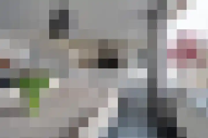 Reigerlaan 35 Beilen thumbnail 8