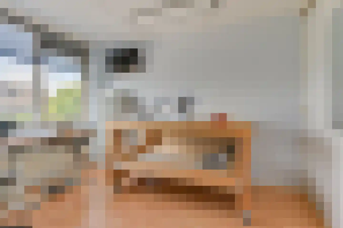 Reigerlaan 35 Obdam thumbnail 23