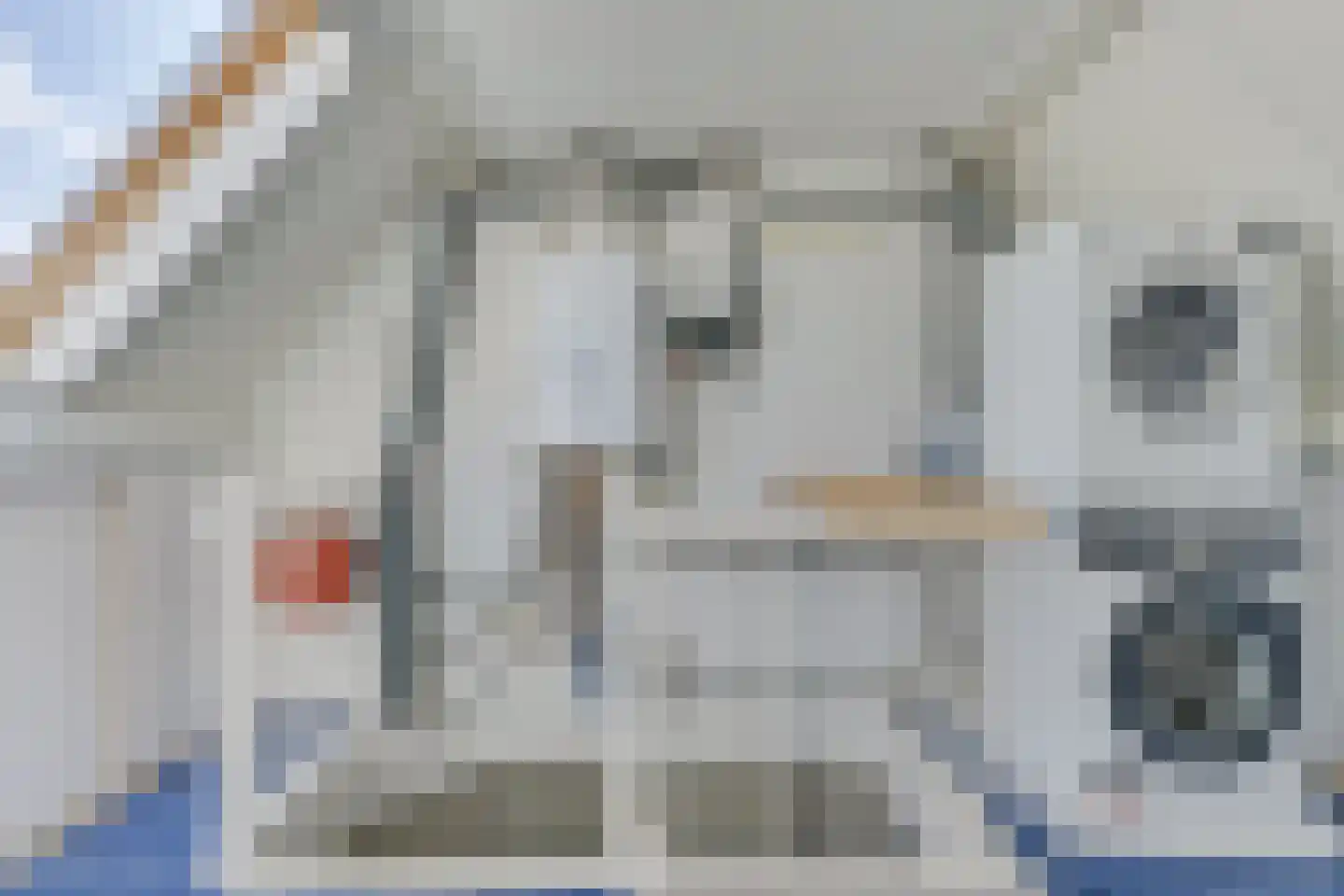 Reigerlaan 35 Obdam thumbnail 33