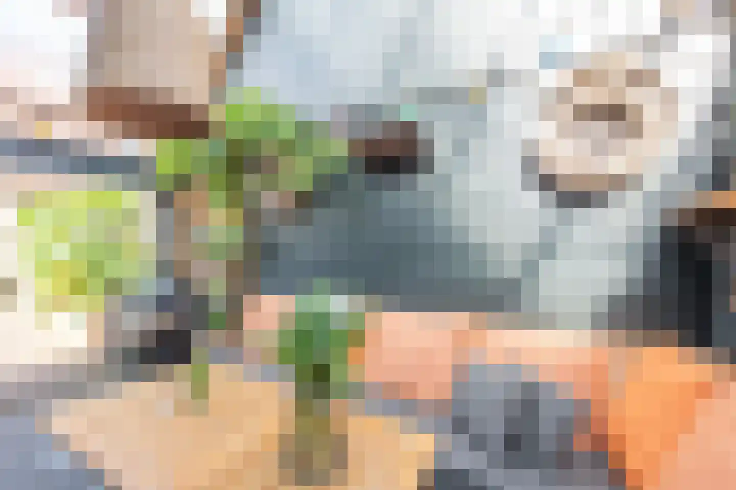 Reigerlaan 35 Obdam thumbnail 44